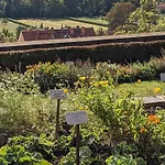 Quedlinburg Ferienwohnungen 公寓 *